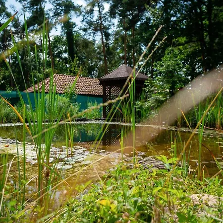 Πανσιόν Kersko Hradistko (Nymburk)